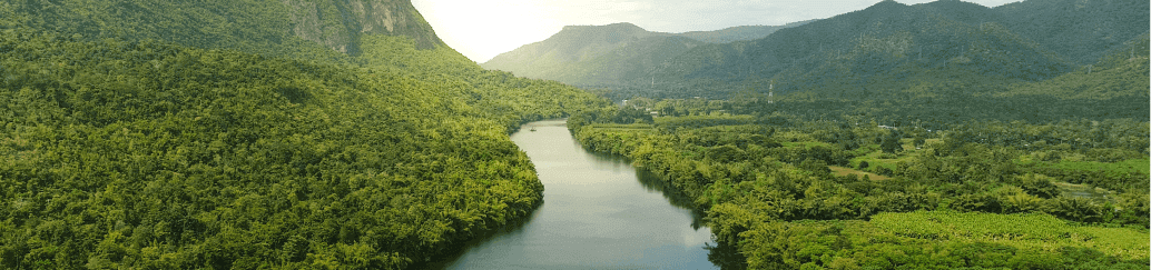 Green landscape