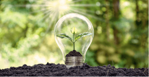 A lamp in green plants 