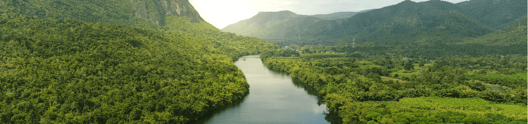 Green landscape 