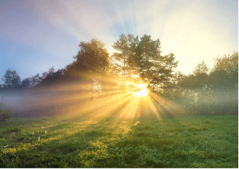sun and light
